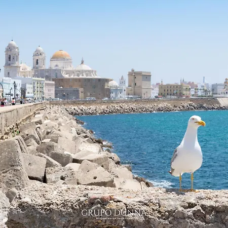 Casa Macias Apartment Cadiz