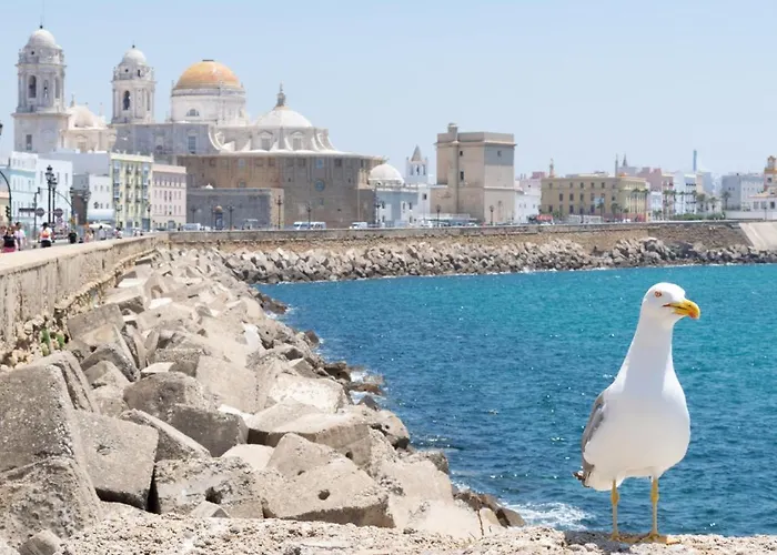 Casa Macias アパート カディス